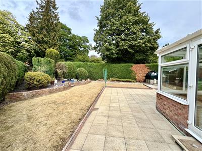 Picture 20